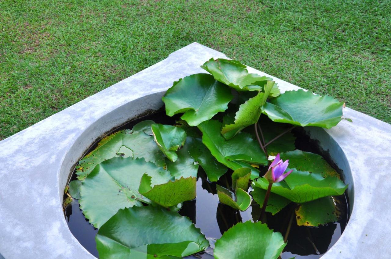 Mama Villa Hikkaduwa Buitenkant foto